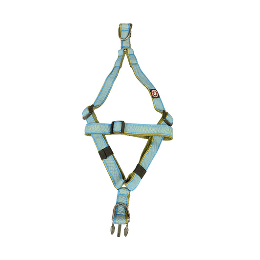 Designer V Dog Harness Online, Stylish & Comfortable in Multiple Colours