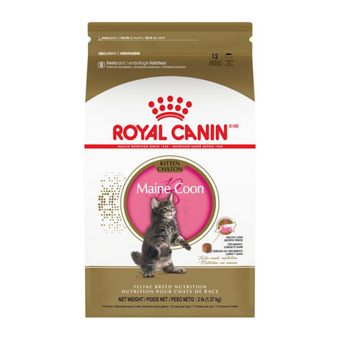 Royal Canin - Maine Coon - Kitten Dry Food