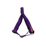Durable No-Pull Poly V Dog Harness, Comfort Fit, Multiple Colours