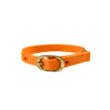 Top Nylon Cat Collar & Leash Set Online, Durable & Safe.