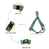 Designer V Dog Harness Online, Stylish & Comfortable in Multiple Colours