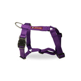 Durable No-Pull Dog Harness, Adjustable Fit in Multiple Colours