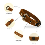 Durable Spun Poly Dog Collar for Dogs – Adjustable Fit, Multiple Colours