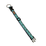 Premium Poly Clip Collar for Dogs, Online Deal in Multiple Colours