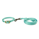 Top Nylon Cat Collar & Leash Set Online, Durable & Safe.