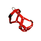 Durable No-Pull Dog Harness, Adjustable Fit in Multiple Colours