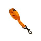 Nylon Dog Leash with Comfortable Grip and Multiple Colour Options