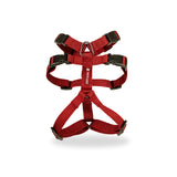 Double H Dog Harness Secure, Adjustable & Multi-Colour
