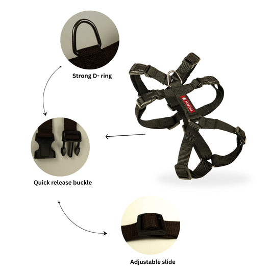 Double H Dog Harness Secure, Adjustable & Multi-Colour