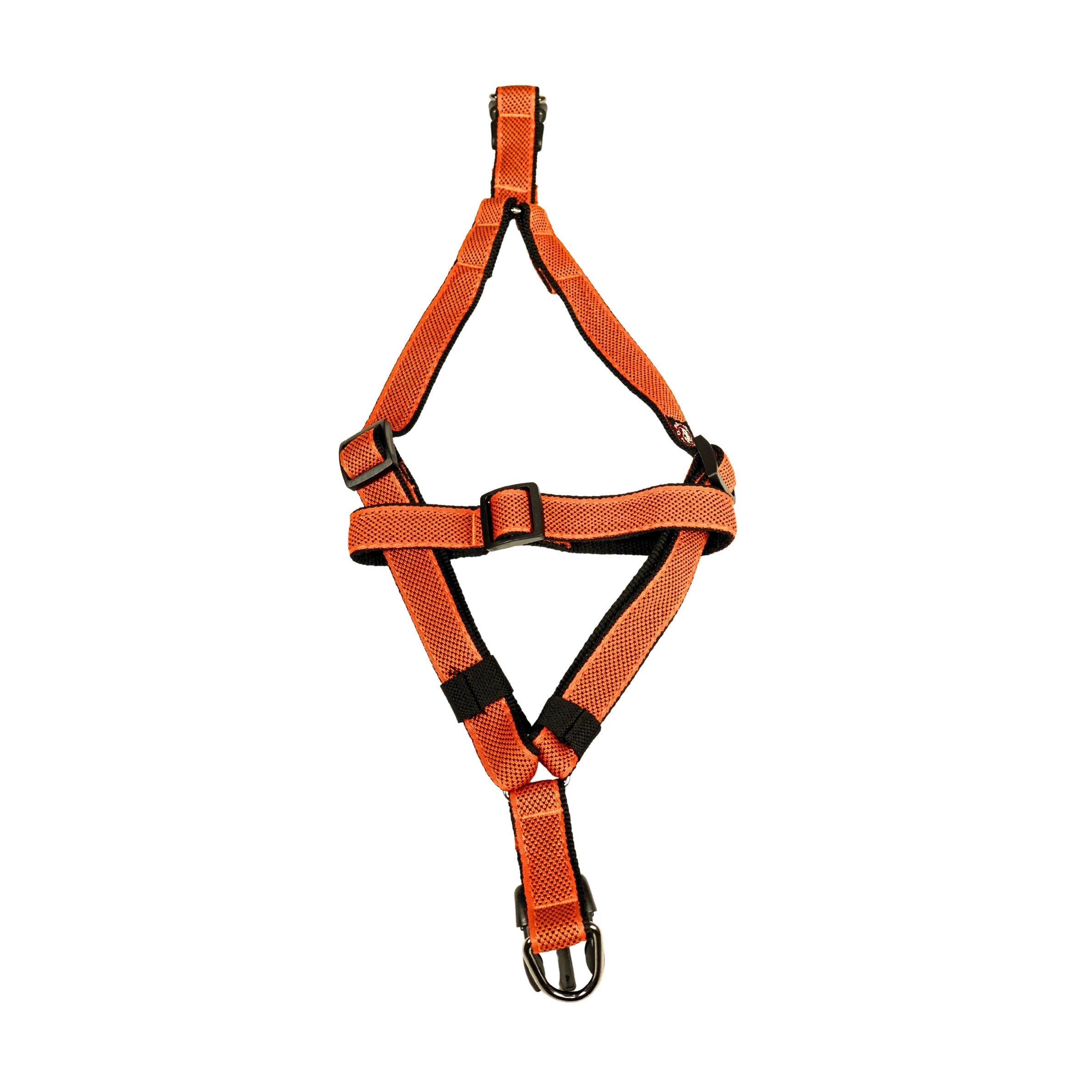 Designer V Dog Harness Online, Stylish & Comfortable in Multiple Colours