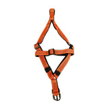 Designer V Dog Harness Online, Stylish & Comfortable in Multiple Colours