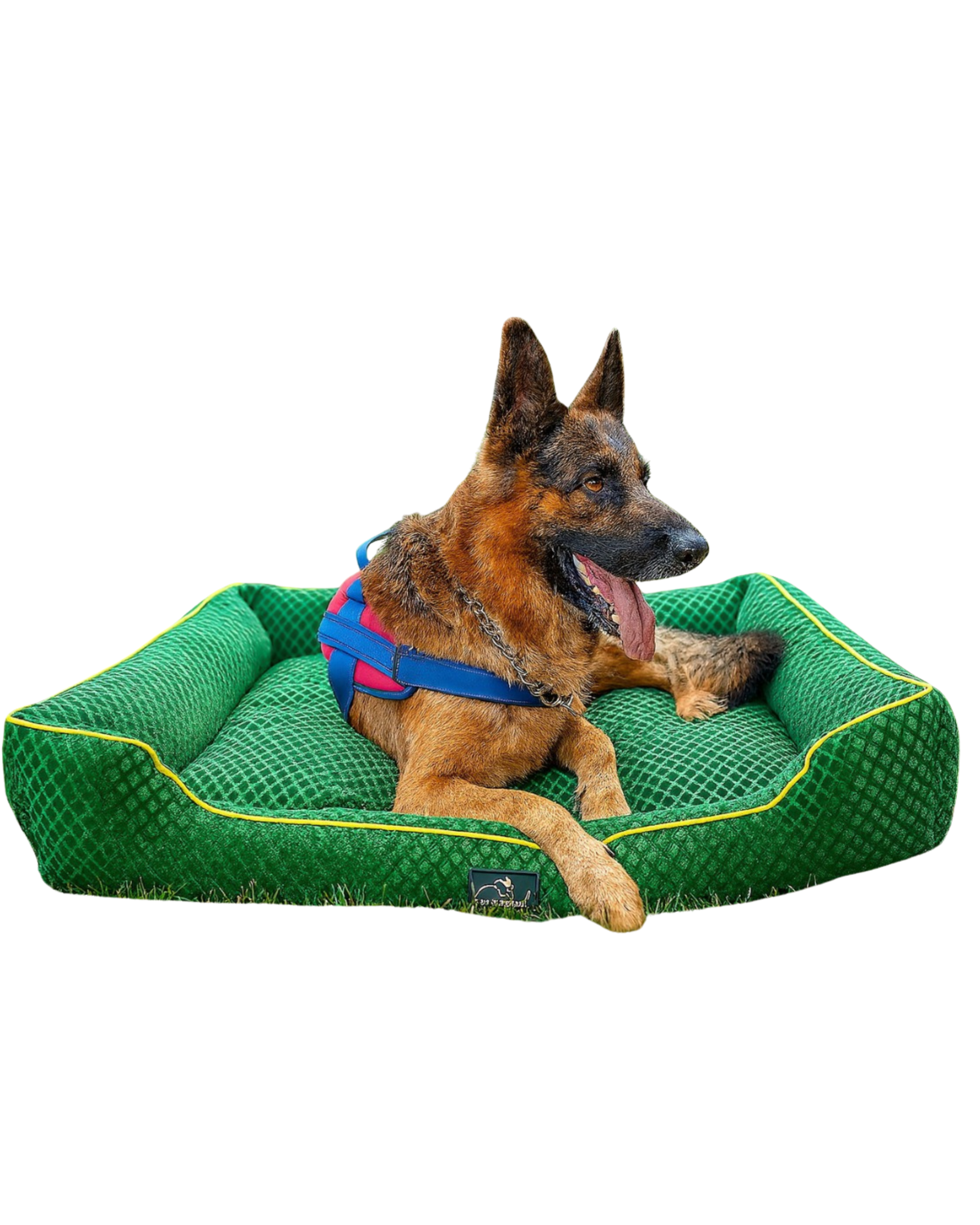 Dog Bed Pattern Lounger Sofa for Comfortable Daily Pet Relaxation