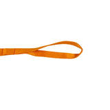 Nylon Dog Leash with Comfortable Grip and Multiple Colour Options