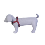 Durable No-Pull Poly V Dog Harness, Comfort Fit, Multiple Colours