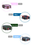 Premium Poly Designer Dog Leash Durable, Tangle-Free, Multi-Colour