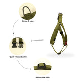 Durable No-Pull Poly V Dog Harness, Comfort Fit, Multiple Colours