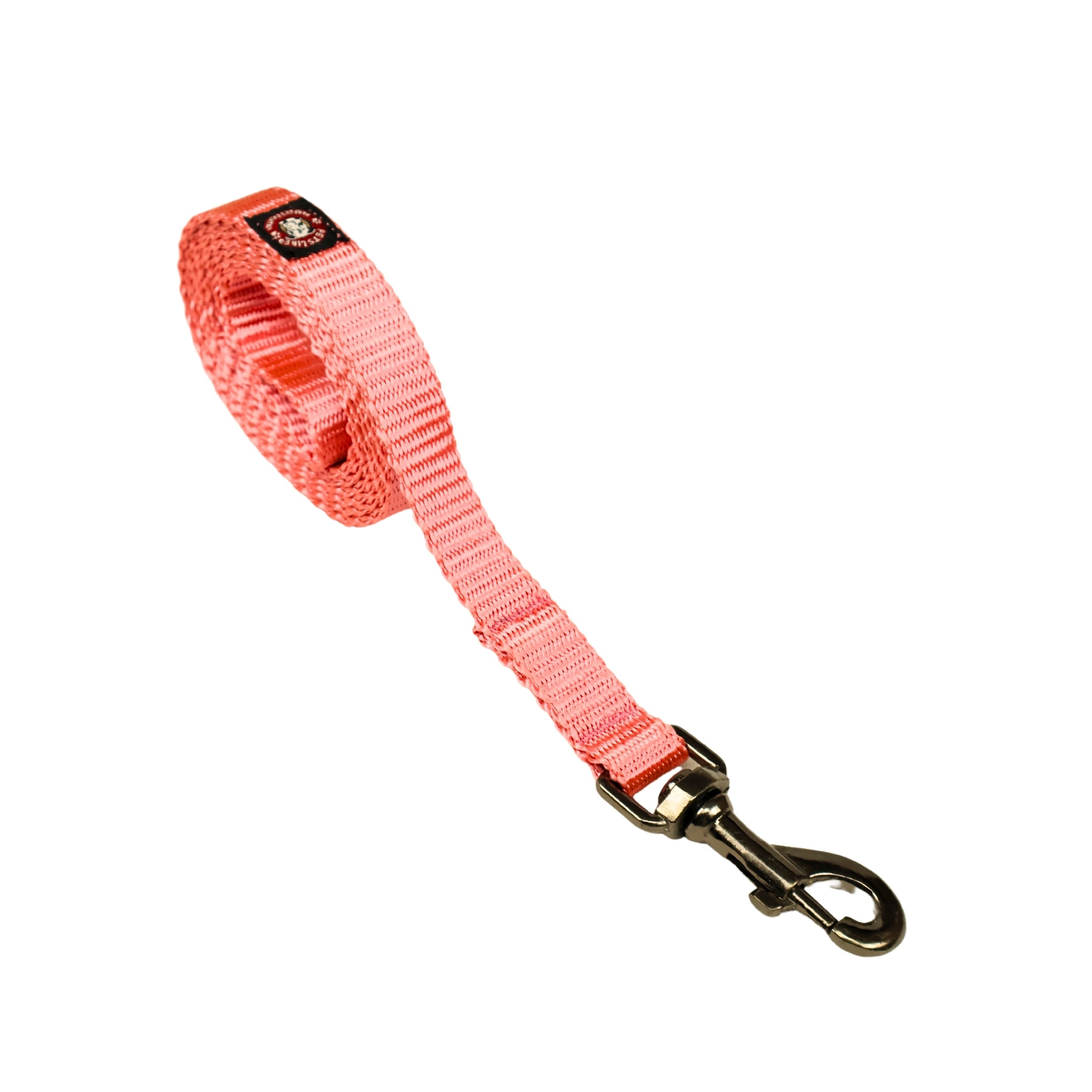 Nylon Dog Leash with Comfortable Grip and Multiple Colour Options