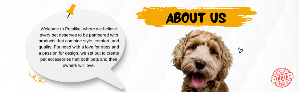 Nylon Dog Collar for Daily Use, Adjustable & Durable