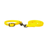Top Nylon Cat Collar & Leash Set Online, Durable & Safe.