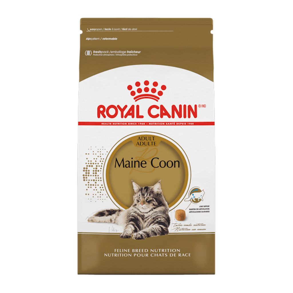 Royal Canin - Maine Coon - Adult - Cat Dry Food