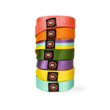 Nylon Dog Leash with Comfortable Grip and Multiple Colour Options