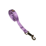 Nylon Dog Leash with Comfortable Grip and Multiple Colour Options