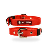 Premium Polyester Pet Collar Safe, Long-Lasting & Multiple Colours
