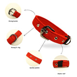 Durable Spun Poly Dog Collar for Dogs – Adjustable Fit, Multiple Colours