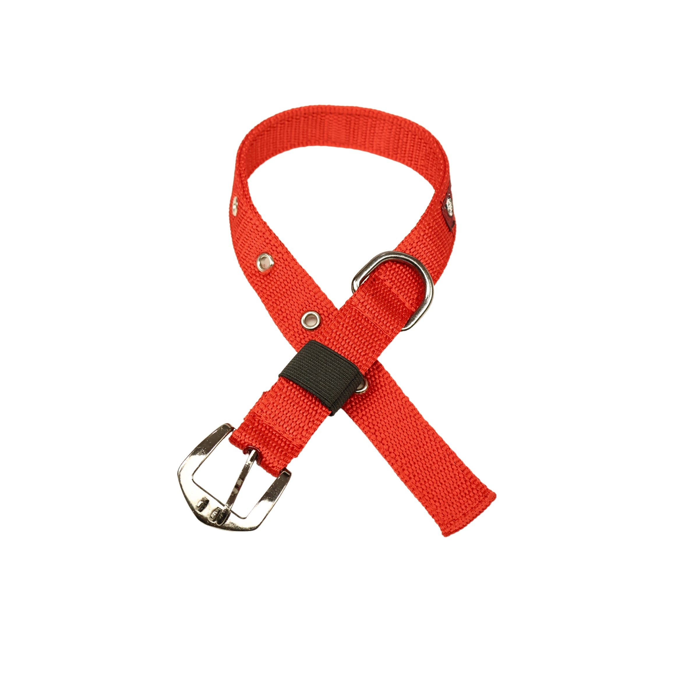 Premium Polyester Pet Collar Safe, Long-Lasting & Multiple Colours