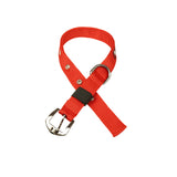 Premium Polyester Pet Collar Safe, Long-Lasting & Multiple Colours