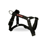 Durable No-Pull Dog Harness, Adjustable Fit in Multiple Colours