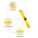 Nylon Dog Collar for Daily Use, Adjustable & Durable