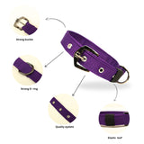 Premium Polyester Pet Collar Safe, Long-Lasting & Multiple Colours