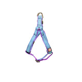 Designer V Dog Harness Online, Stylish & Comfortable in Multiple Colours