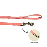 Nylon Dog Leash with Comfortable Grip and Multiple Colour Options