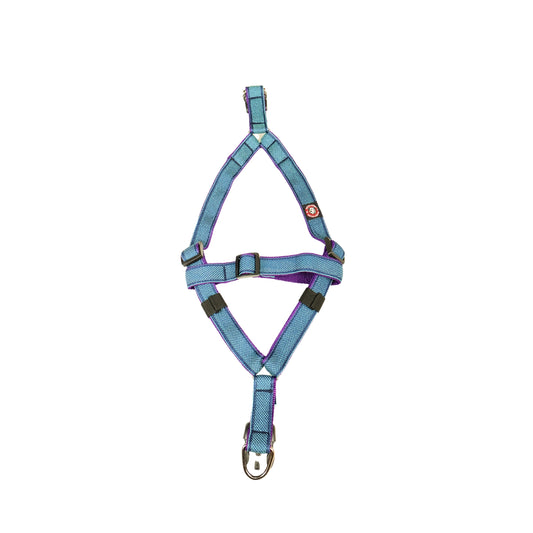 Designer V Dog Harness Online, Stylish & Comfortable in Multiple Colours