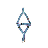 Designer V Dog Harness Online, Stylish & Comfortable in Multiple Colours