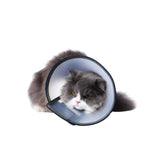 cat e collar transparent