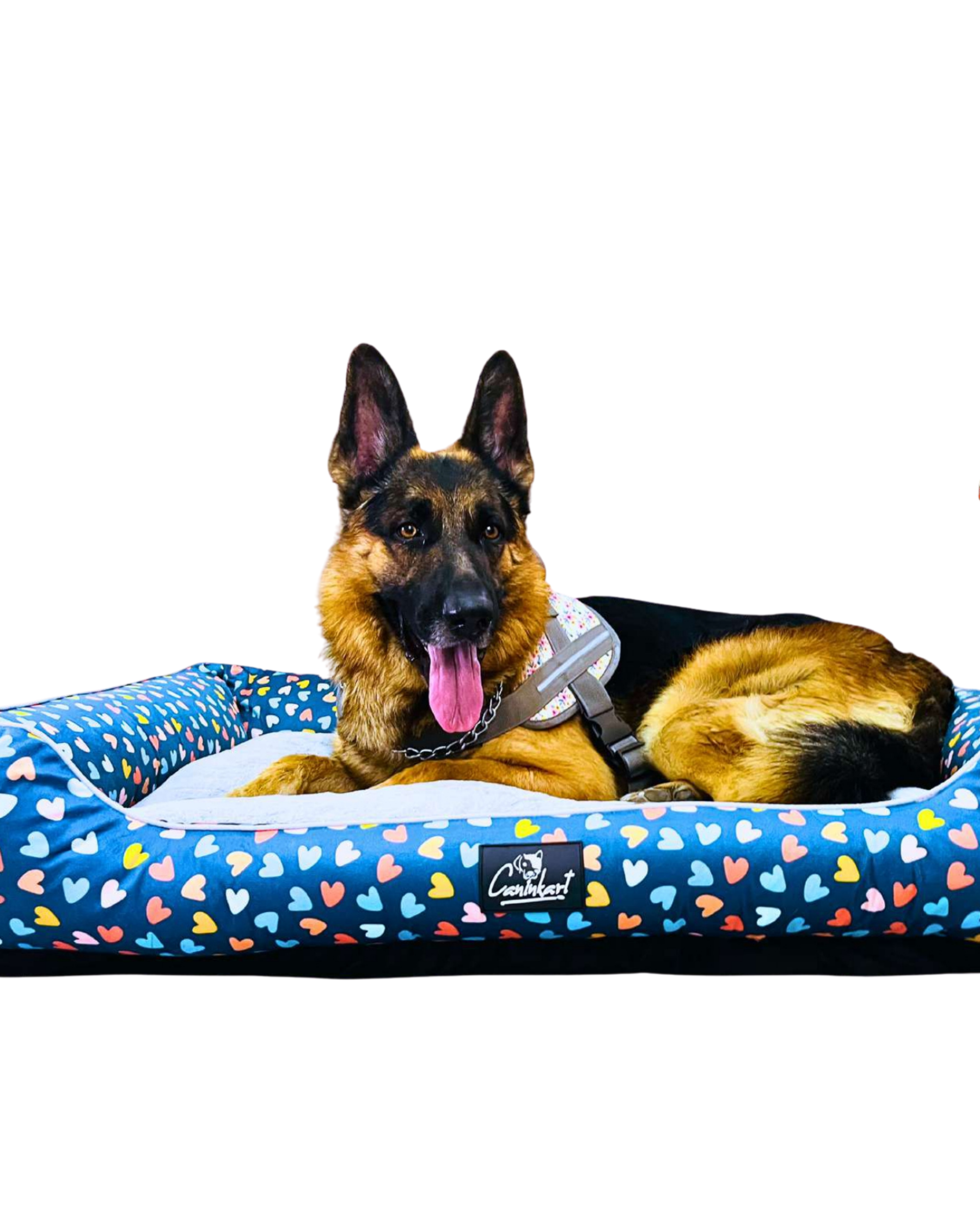 Printed Dog Lounger Bed Online, Soft & Comfortable Dog Bed