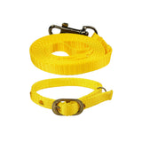 Top Nylon Cat Collar & Leash Set Online, Durable & Safe.