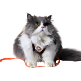 Petslike cat harness and leash green