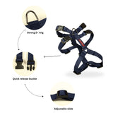 Double H Dog Harness Secure, Adjustable & Multi-Colour