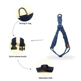 Durable No-Pull Poly V Dog Harness, Comfort Fit, Multiple Colours