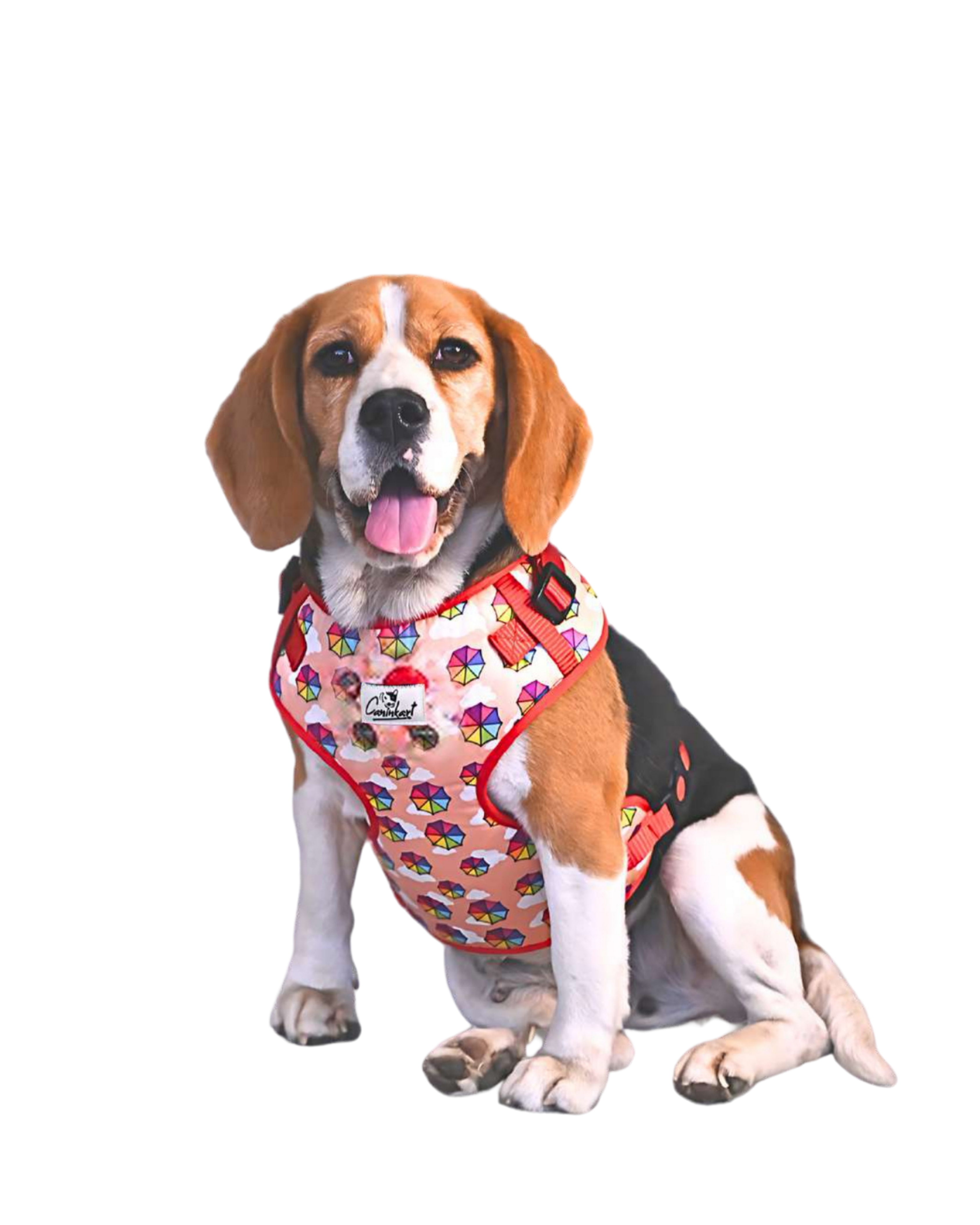 Dog Chest Harness for Comfort & Control, Padded No Pull Design