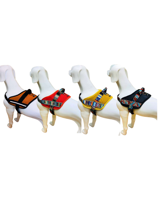 Easy-On Dog Harness for Walking, Comfortable & Stylish Fit
