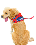 Easy-On Dog Harness for Walking, Comfortable & Stylish Fit