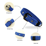 Durable Spun Poly Dog Collar for Dogs – Adjustable Fit, Multiple Colours