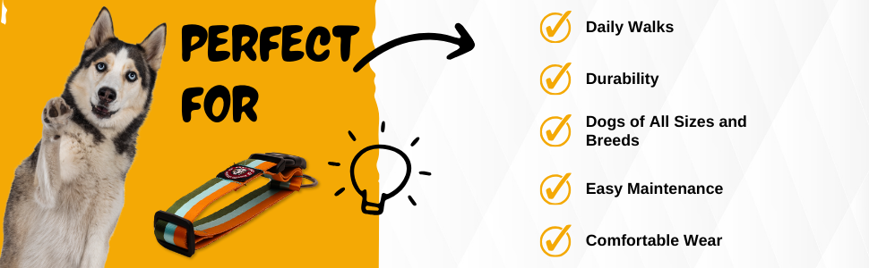 Nylon Dog Collar for Daily Use, Adjustable & Durable