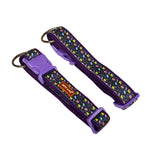 Premium Poly Clip Collar for Dogs, Online Deal in Multiple Colours