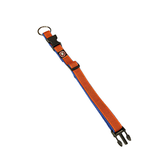 Spun Poly Clip Collar for Dogs with Secure Buckle in Multiple Colours